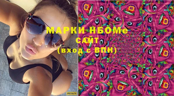 шишки Новокубанск