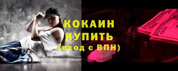 гашик Новозыбков