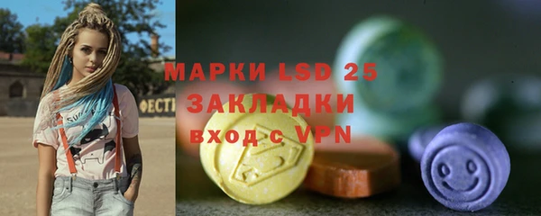 гашик Новозыбков