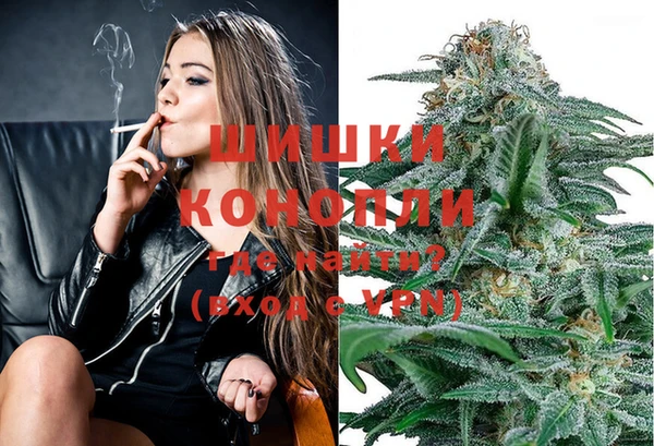 шишки Новокубанск