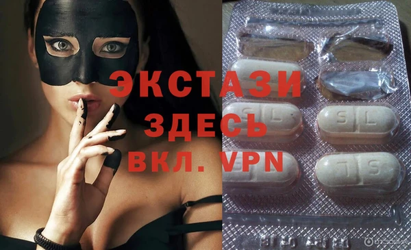 гашик Новозыбков