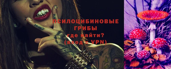 дживик Новодвинск
