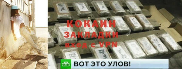 шишки Новокубанск