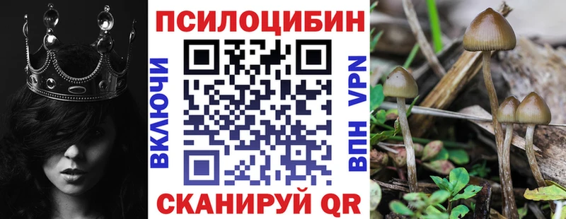 Галлюциногенные грибы MAGIC MUSHROOMS  как найти закладки  Никольск 
